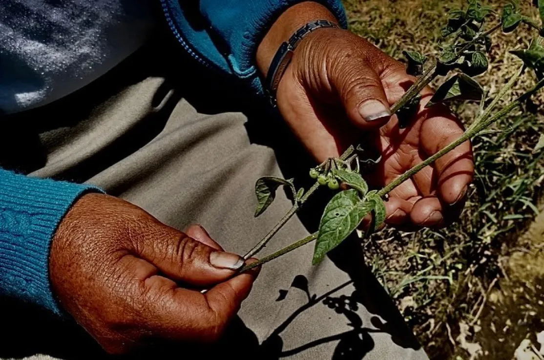 Mujer y cambio climático, en defensa de la tierra. Foto:Manos Unidas en Ecuador