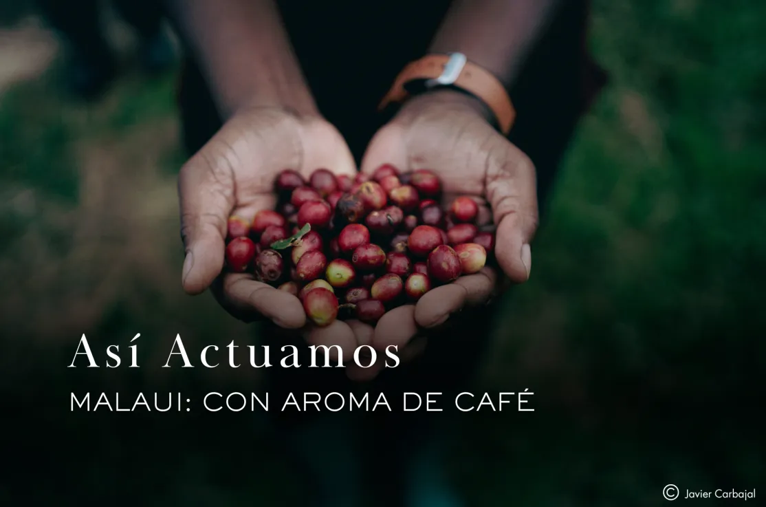Así actuamos: Malaui, con aroma de café. Fotografía: Javier Carbajal