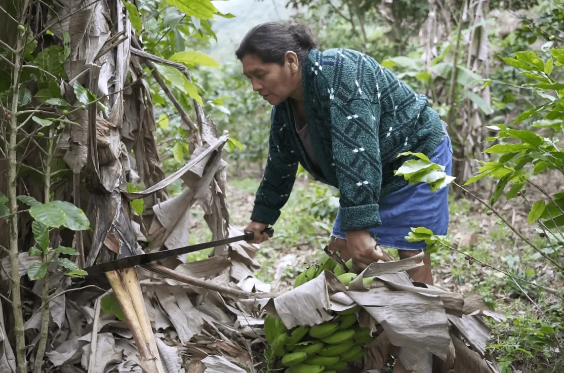 Día Internacional de las Mujeres Rurales 2022 (15 de octubre)