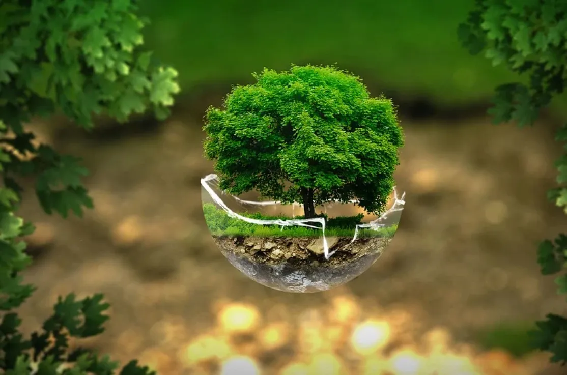 Día Mundial del Medio Ambiente 2021 (Foto de thommas68)