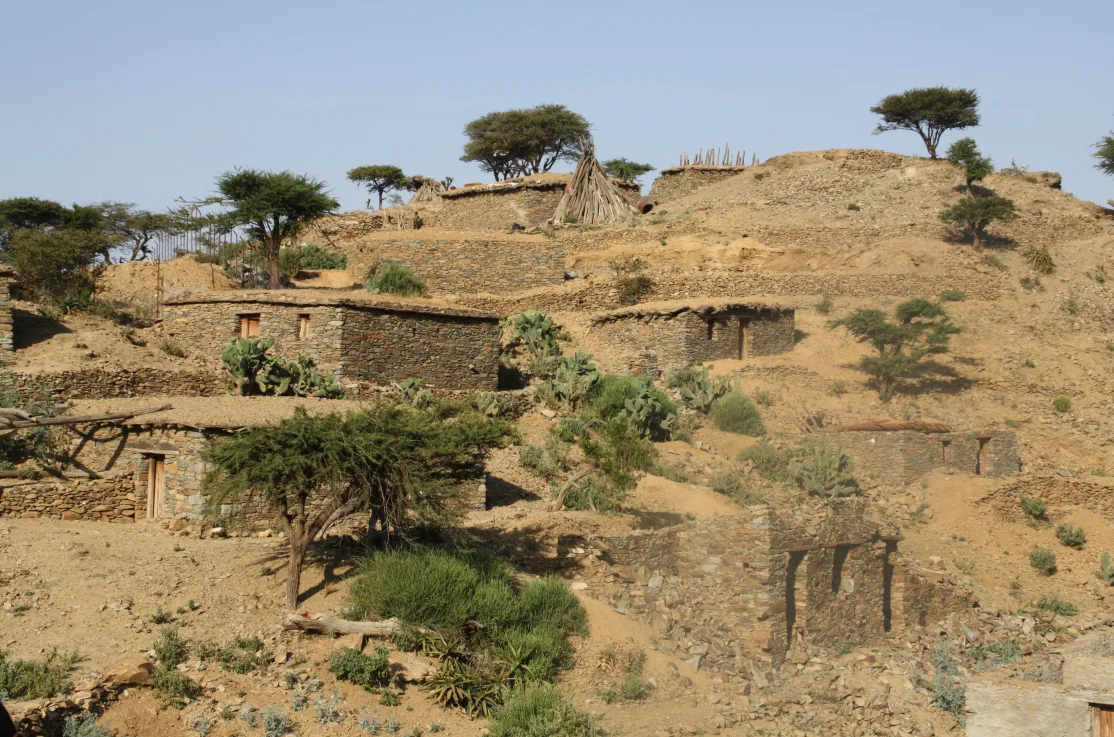 Imagen del Tigray etíope. Fopto: Marta Carreño/Manos Unidas