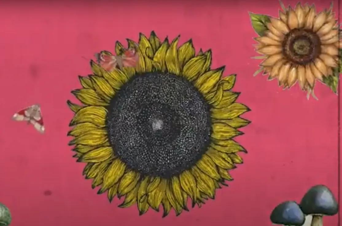 Ganadores de Clipmetrajes, categoría General: vídeos que intentan cambiar actitudes