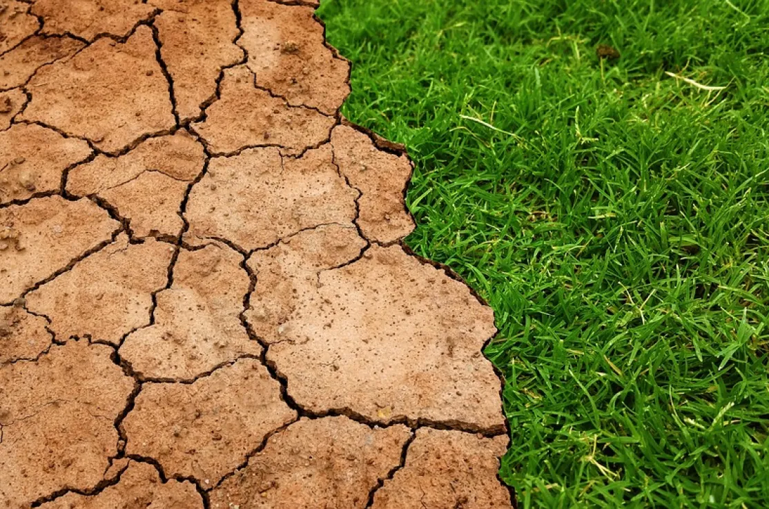 Cumbre sobre el Clima de las Naciones Unidas
