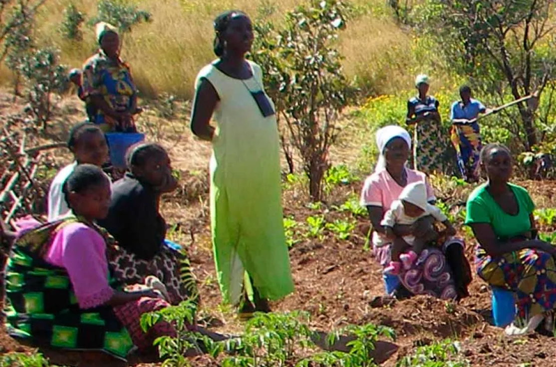 Huertos comunitarios en Kilela Balanda