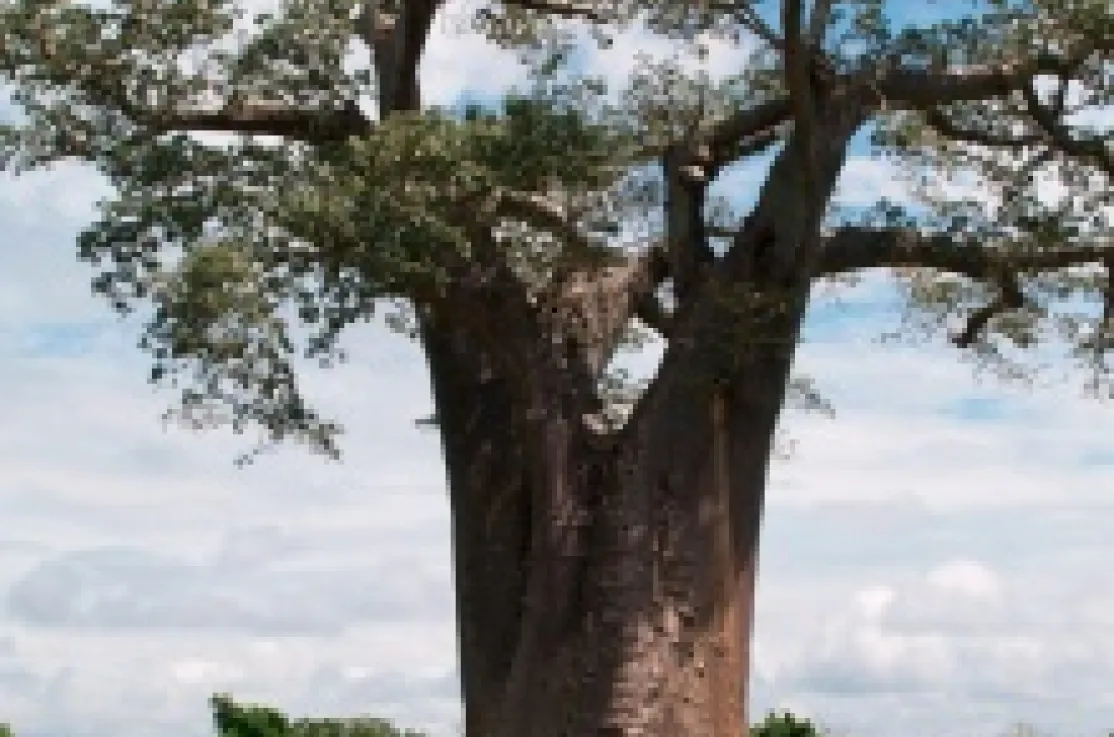 Mozambique