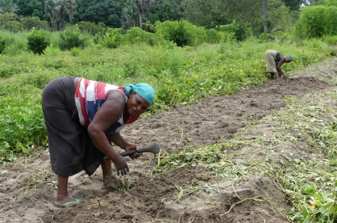 Noviembre marca un impulso decisivo para el Programa Karonghen 4 en Casamance. Fotografía: Asociación CPAS.