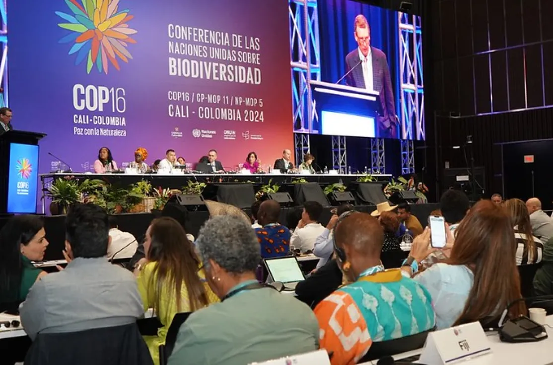 Conferencia de las Naciones Unidas sobre Biodiversidad. Fotografía: UN Biodiversity | COP16
