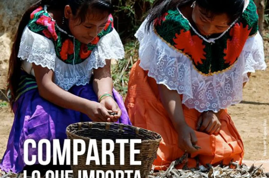 Manos Unidas considera inaceptable el hambre en el mundo 