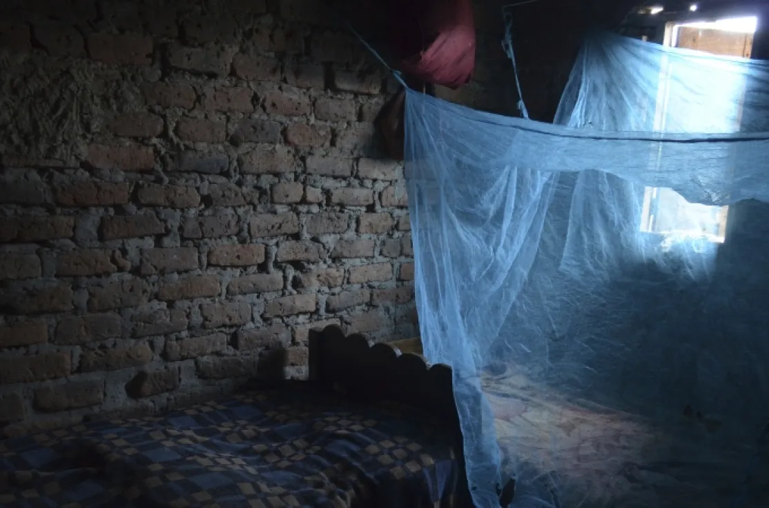 Manos Unidas - Día Mundial del Paludismo 2024 (25 de abril) - Una red antimosquitos cubre una ventana - Imagen: Uganda | Myriam Sagastizabal