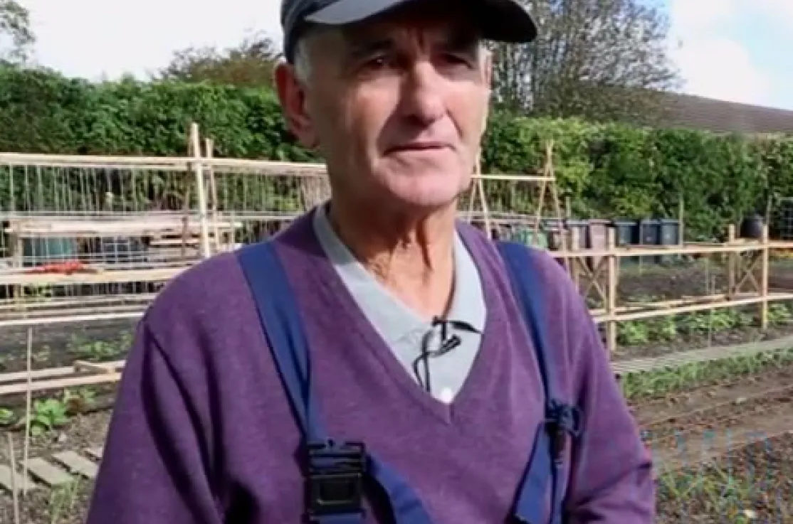 David Jackson