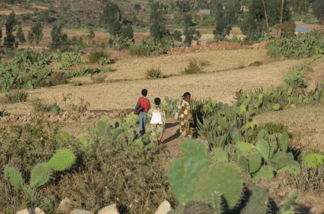 Día contra la desertificación y la Sequía. Foto: Marta Carreño en Etiopía