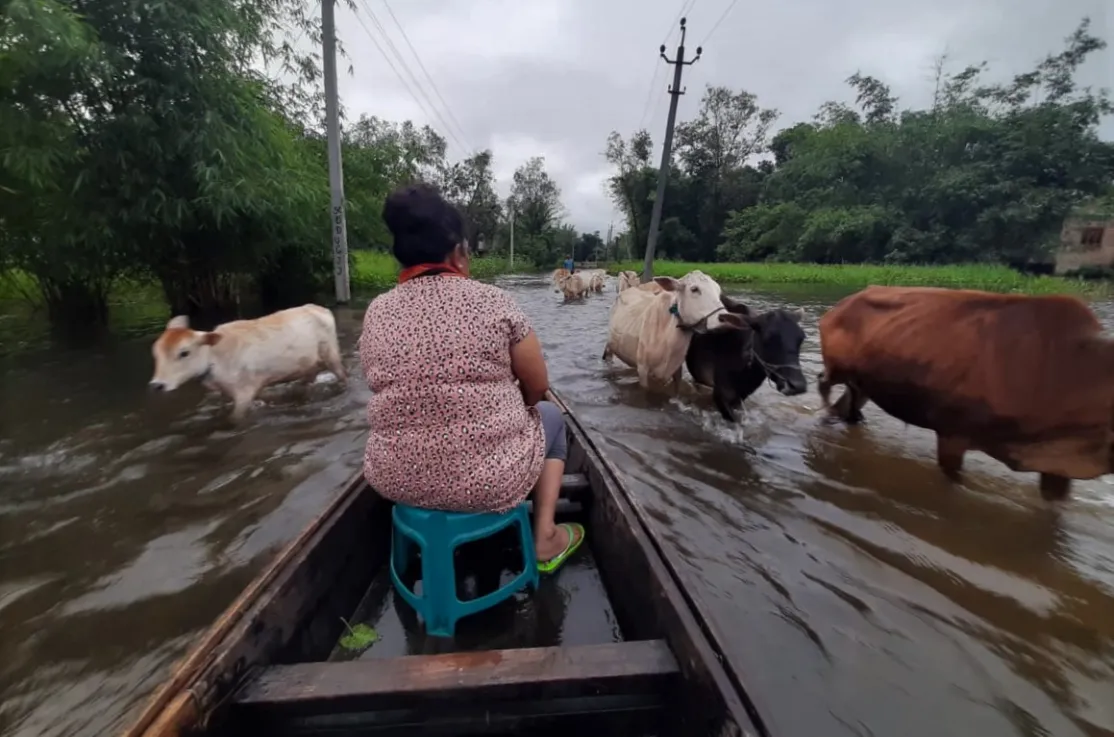 Inundaciones en el estado de Assam. Foto: Manos Unidas