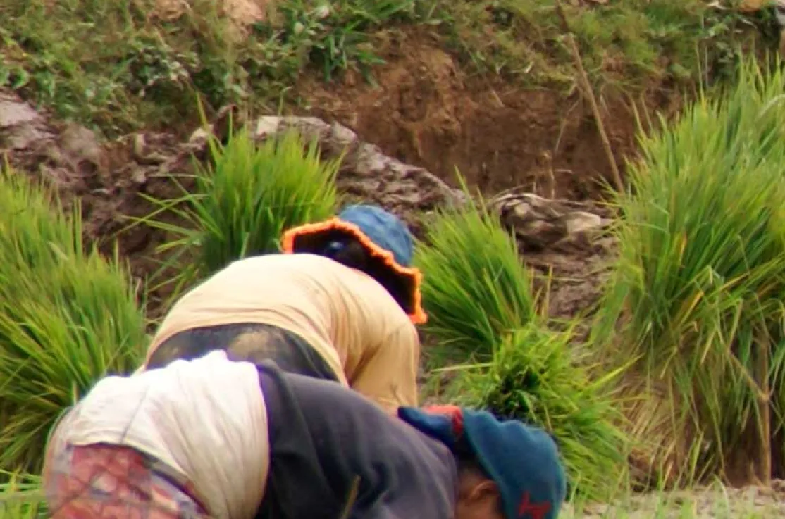Los campesinos de Madagascar reclaman la tierra de sus ancestros