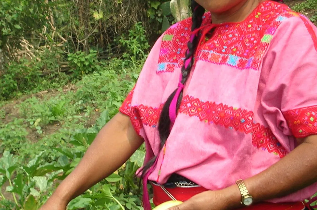 México desconocido y desigual
