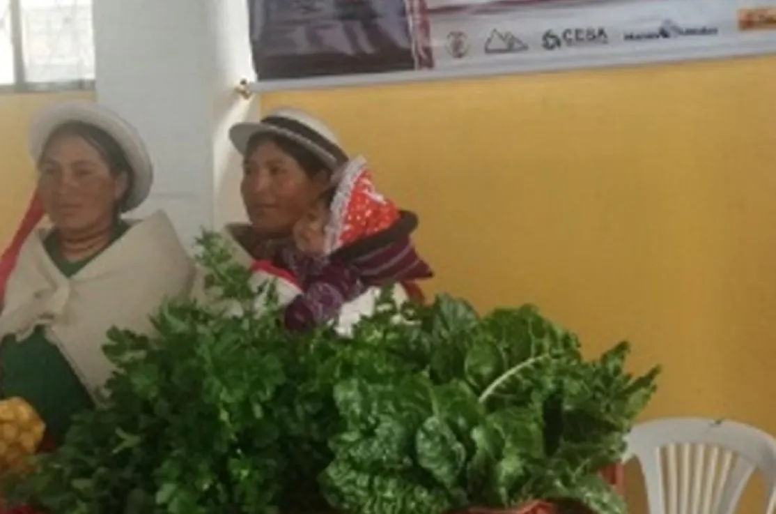 La Organización de mujeres San Francisco Cuatro Esquinas e la exposición de Palmira