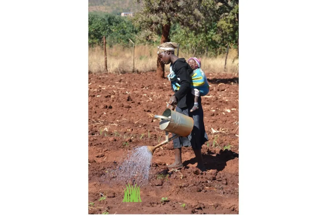 Los proyectos de agua son clave para el desarrollo