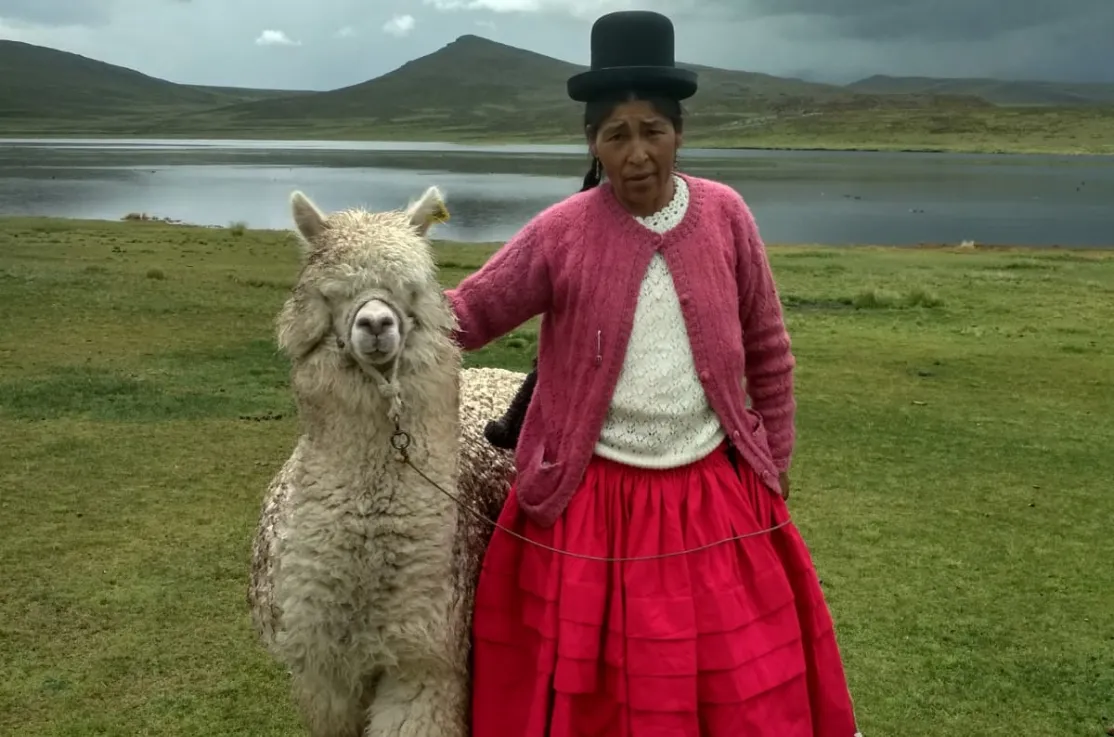Mujeres productoras alpaca Foto: Manos Unidas/ Mariana Ugarte
