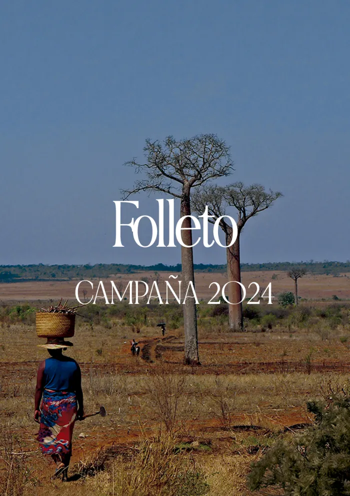Materiales Campaña 2024 - Folleto Informativo