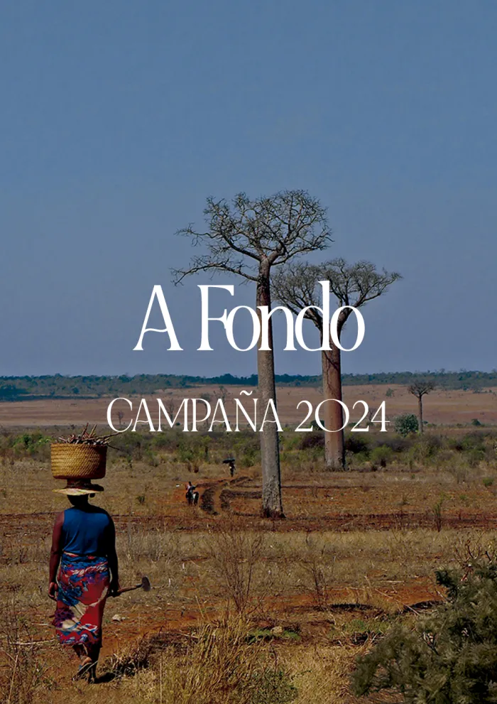 Materiales Campaña 2024 - Informe a Fondo