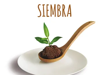 Plántale cara al hambre: siembra #ManosUnidasSiembra