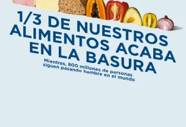 1/3 de nuestros alimentos acaba en la basura