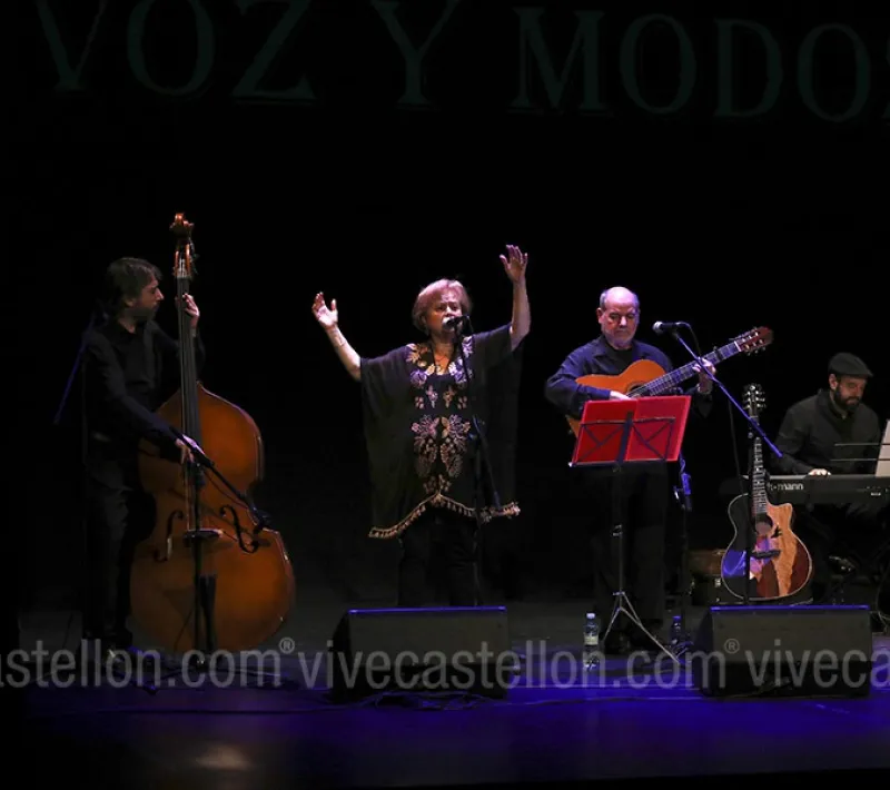 Concierto Solidario Voz y Modos. 2019
