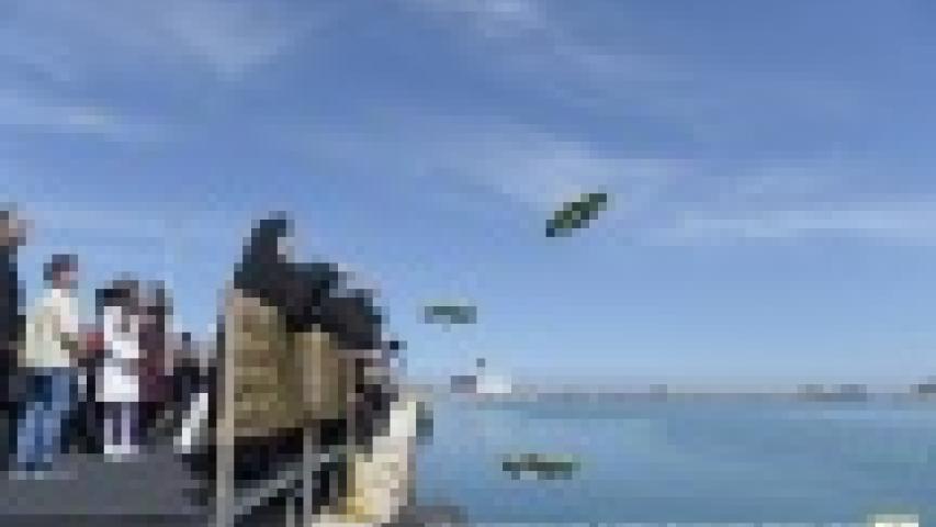 13007240 1235496386461397 4896142514451715358 n 0