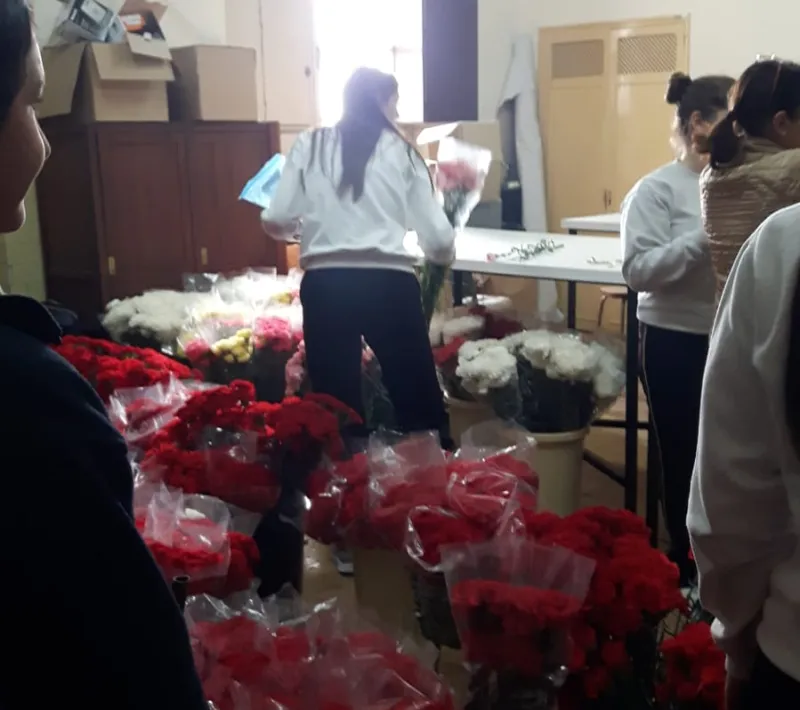 Clavel solidario Las Francesas II