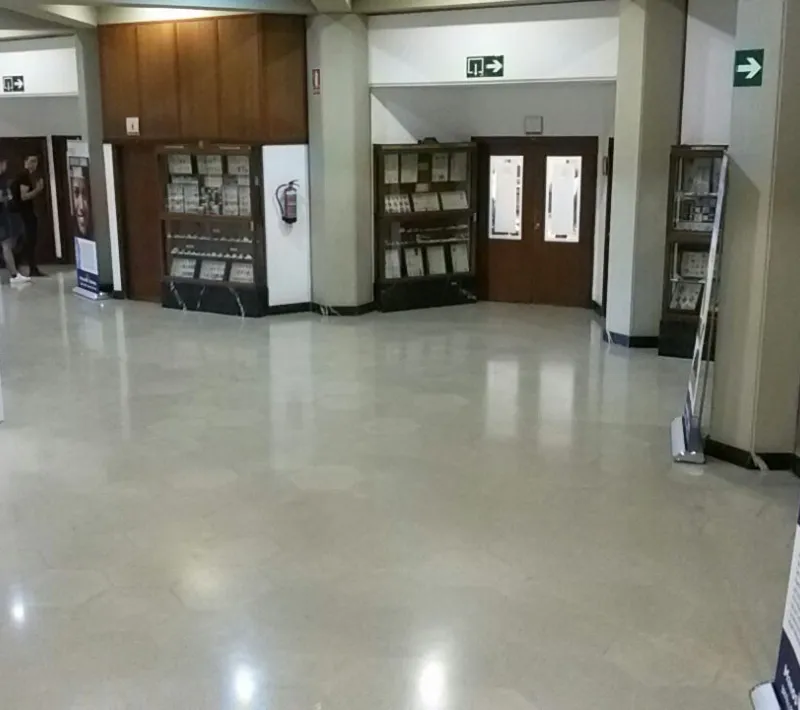 20161804 exposicion ciencias 6