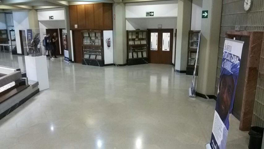 20161804 exposicion ciencias 6