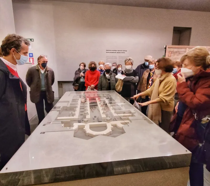 Visita guiada al Museo de Navarra a todos los voluntarios de la delegación de Pamplona