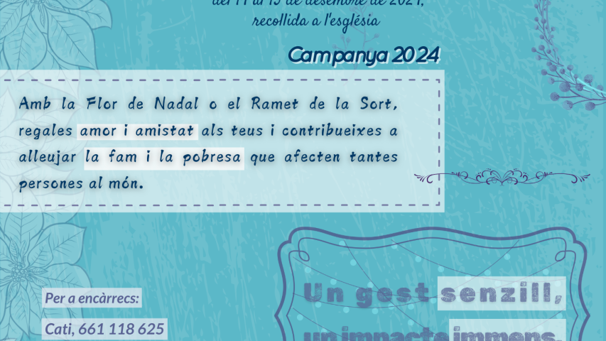 2024 cartell flor de nadal brafim