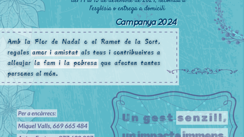 2024 cartell flor de nadal el pla de santa maria