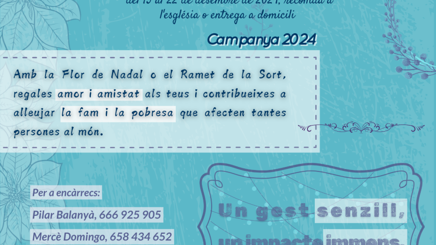 2024 cartell flor de nadal figuerola del camp