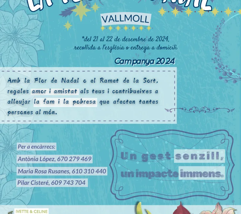 2024 cartell flor de nadal vallmoll