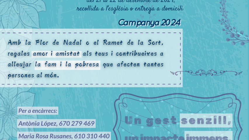 2024 cartell flor de nadal vallmoll