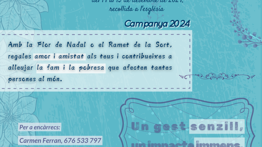 2024 cartell flor de nadal valls el lledo