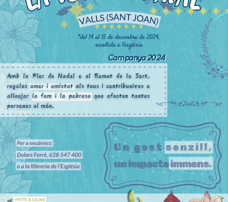 2024 cartell flor de nadal valls sant joan