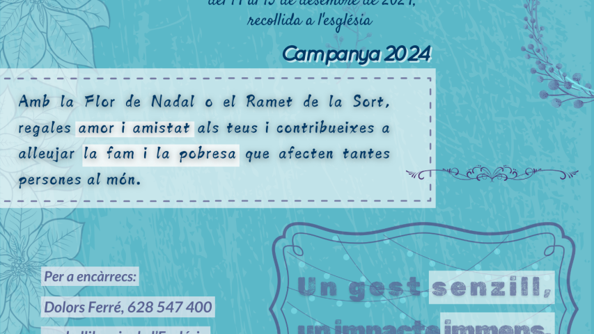2024 cartell flor de nadal valls sant joan