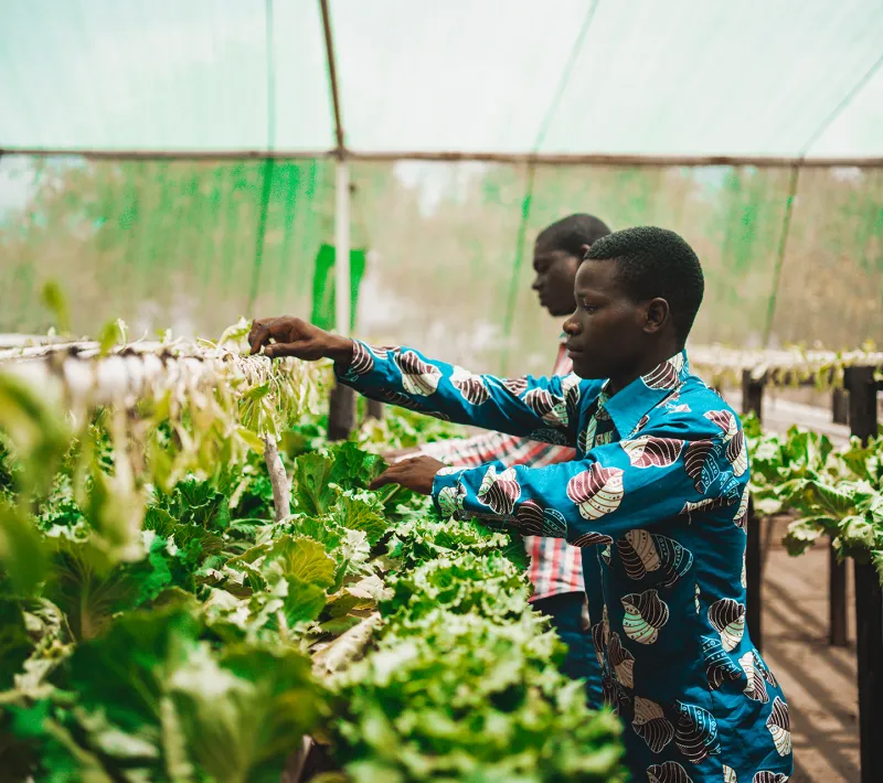 Alimentación y medios de vida. Mozambique. Javier Carbajal
