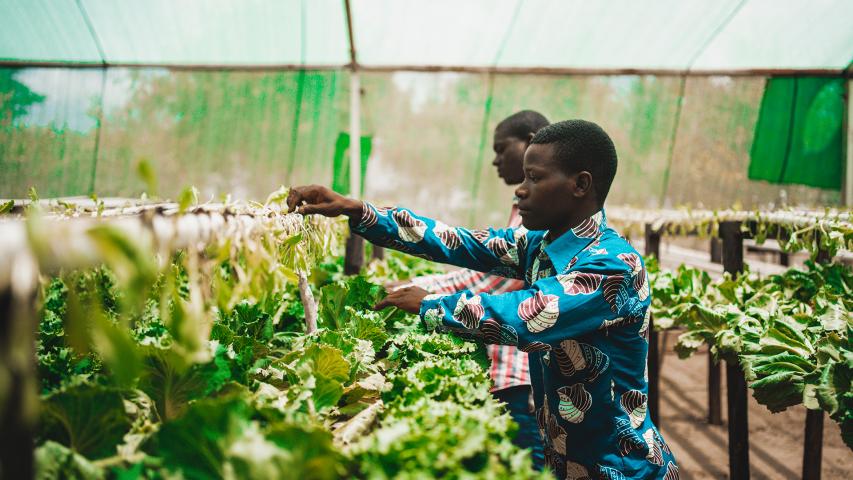 Alimentación y medios de vida. Mozambique. Javier Carbajal
