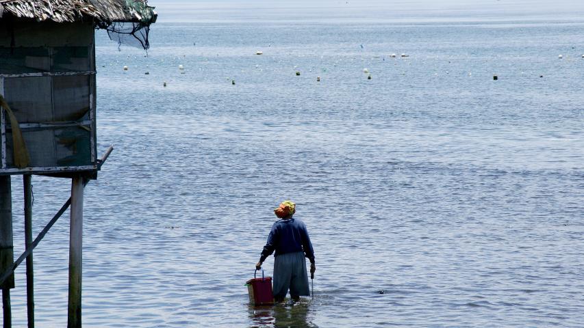 Una persona camina dentro del mar con un cubo en la mano, junto a una vivienda sobre pilotes y con montañas al fondo.