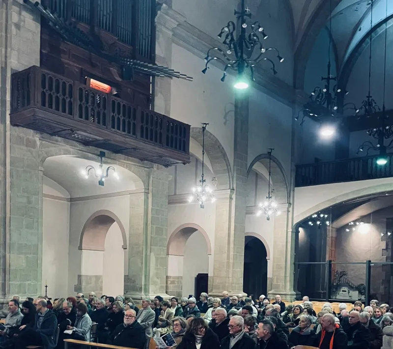 public concert