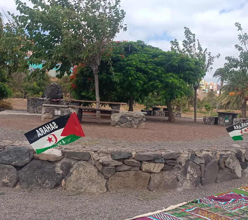 Campamento saharaui Manos Unidas Las Palmas 2026