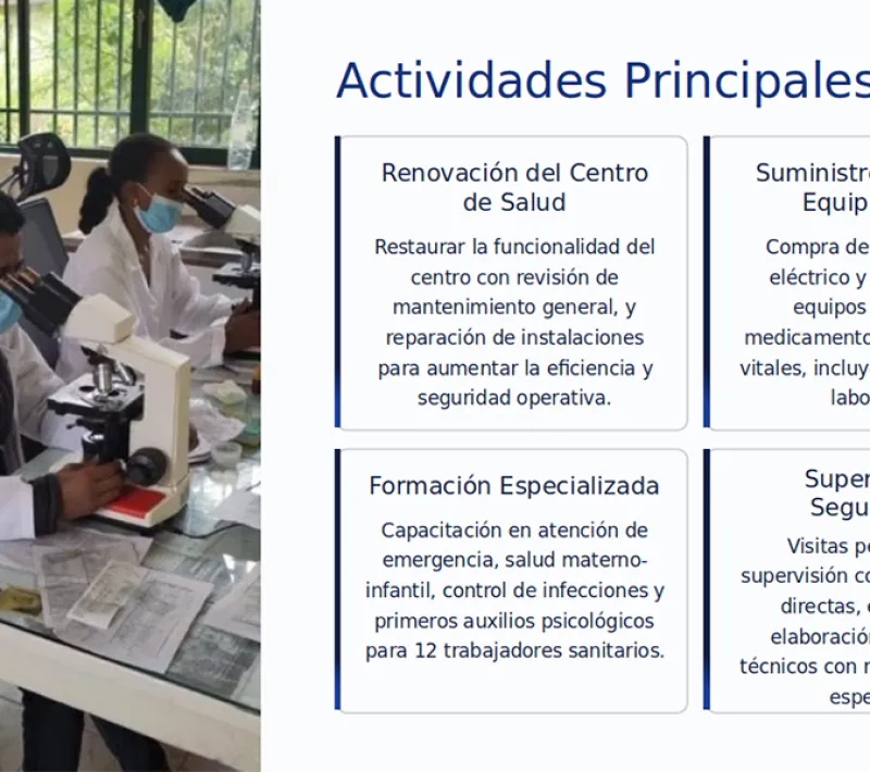 Actividades principales