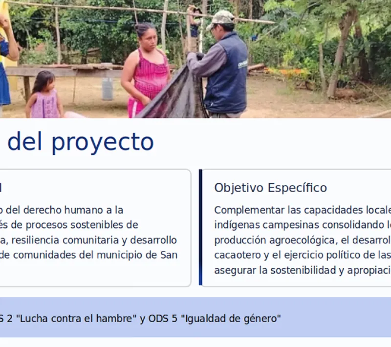 Objetivos del proyecto