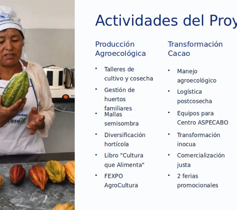 Actividades del proyecto