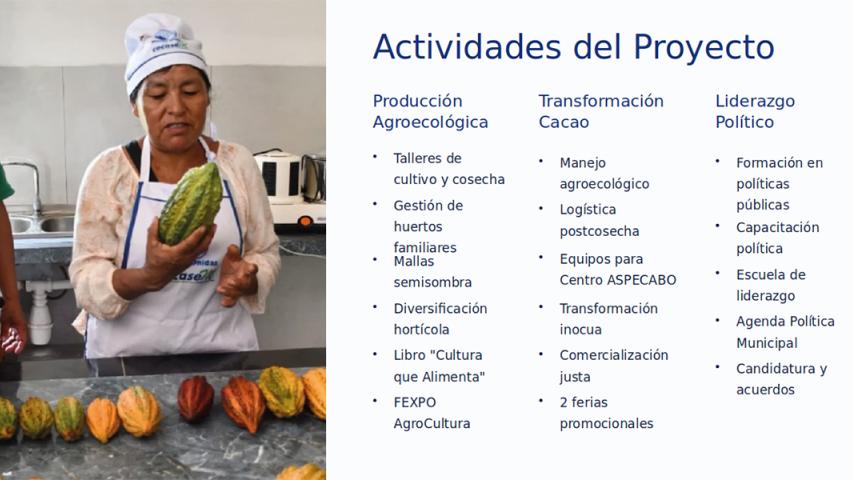 Actividades del proyecto