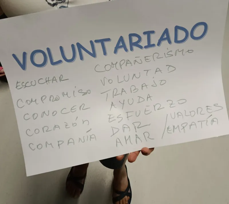 Voluntariado