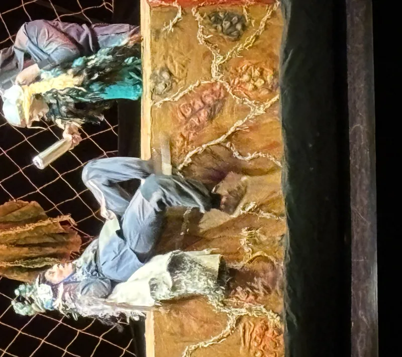 Más de 260 escolares de Castellón reflexionan sobre el cuidado del planeta a través del teatro